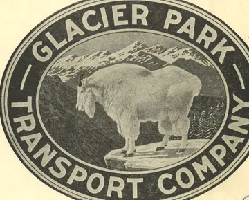 mountain goat