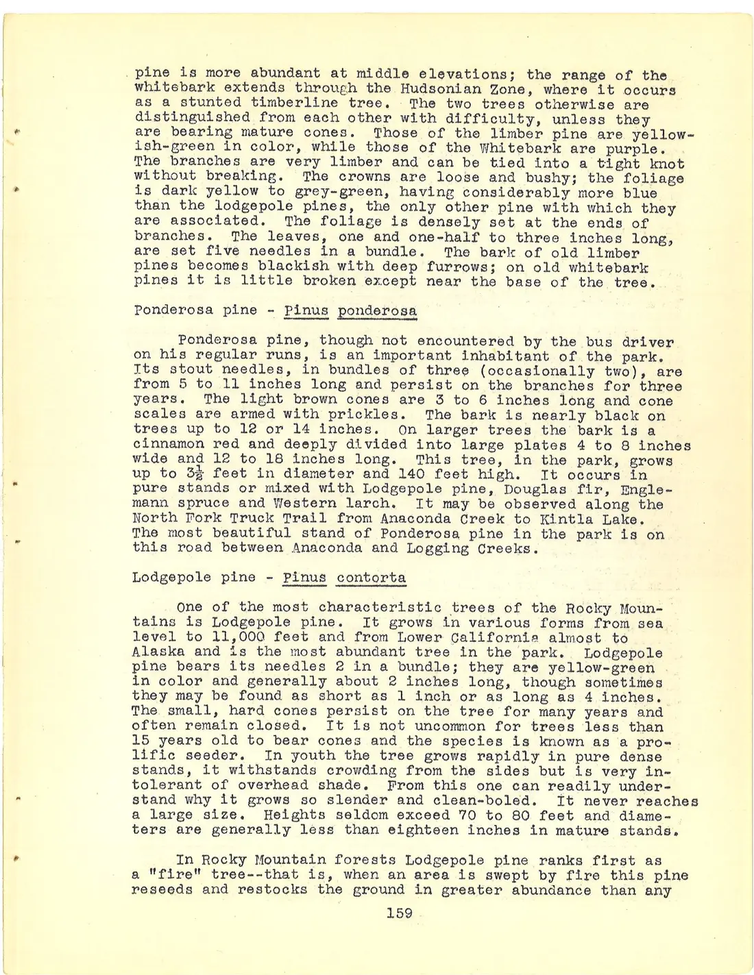 scan page 177