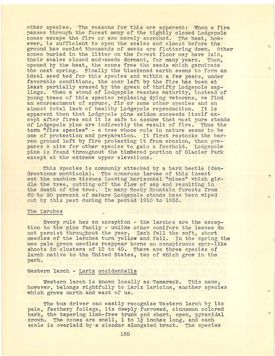 scan page 178