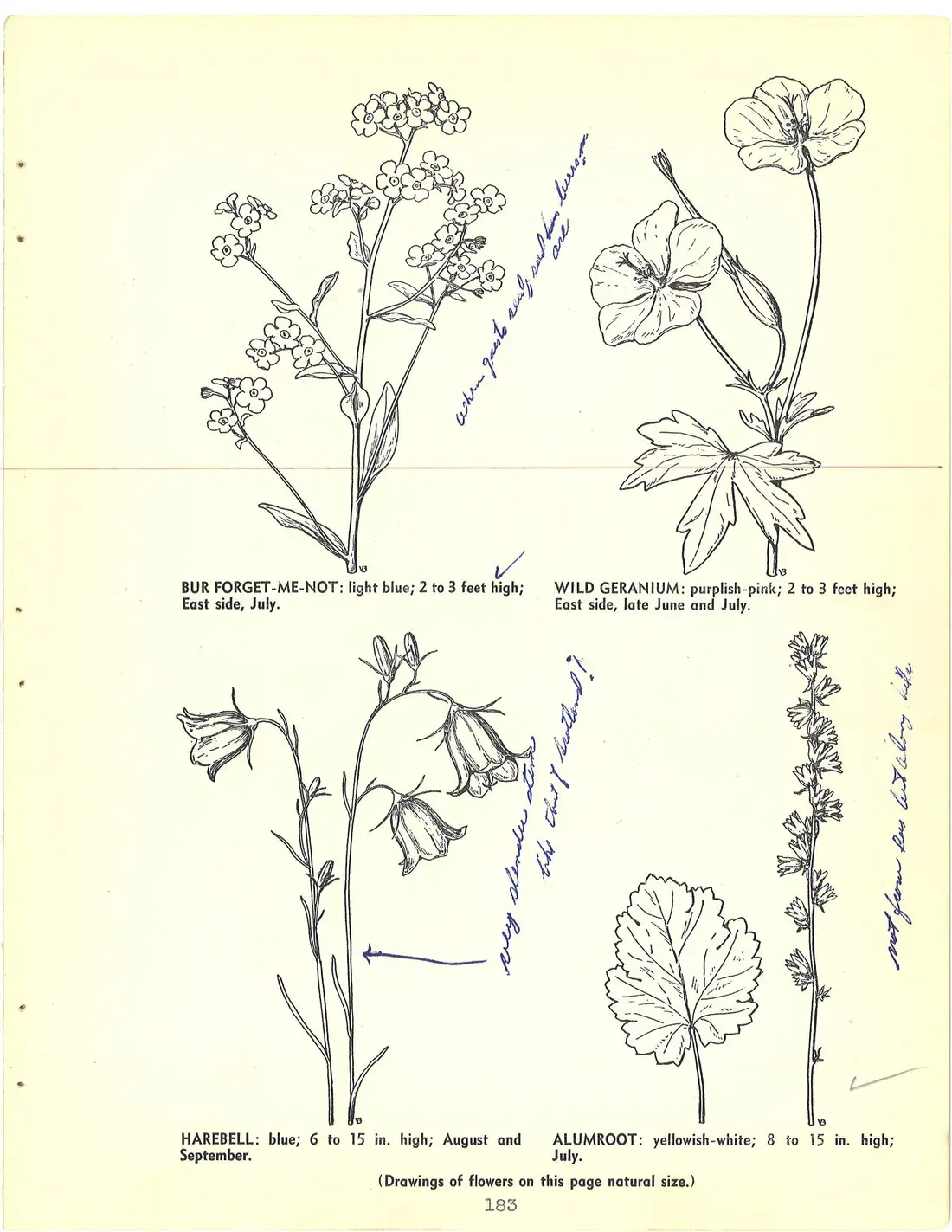 scan page 201